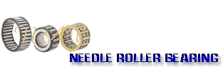 needle roller bearing